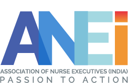 anei-logo